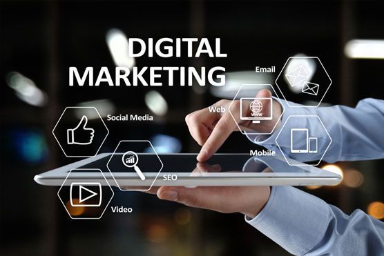 Expert Digital marketer